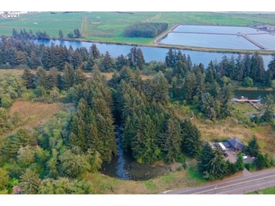 Nehalem River Acreage For Sale in Nehalem Oregon