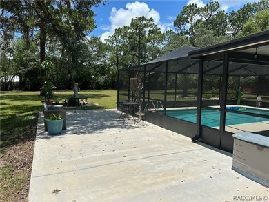 Welcome to your oasis in the heart of Citrus County! This - photo 43