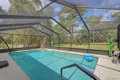 Welcome to your oasis in the heart of Citrus County! This - photo 45