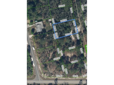 Lake Grassy Lot For Sale in Lake Placid Florida
