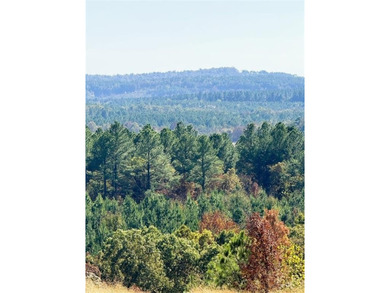 Broken Bow Lake Acreage For Sale in Broken Bow Oklahoma