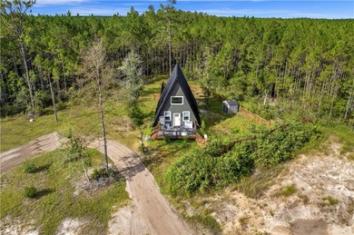 (private lake, pond, coastal) Home Active Under Contract in Waycross Georgia