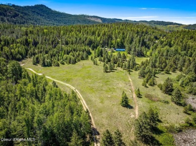 Lake Acreage For Sale in Sagle, Idaho