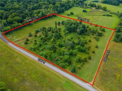 Seneca Lake Acreage For Sale in Hector New York