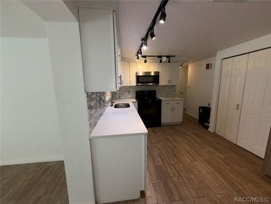 Move-in ready and beautifully updated, this inviting home - photo 6