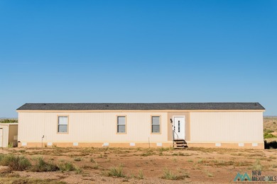 Ute Lake Home For Sale in Logan New Mexico