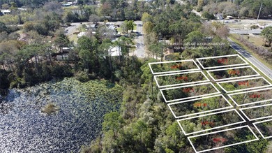 New River Lot For Sale in Carabelle Florida