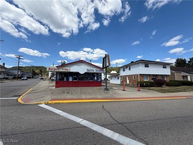 Ohio River Commercial For Sale in Shadyside Ohio