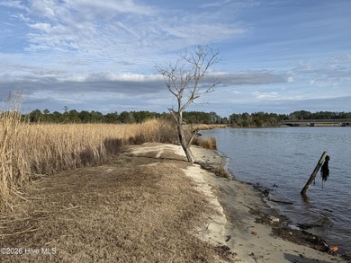 Great Homesite with water views and has access to common day - photo 5