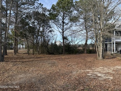 Great Homesite with water views and has access to common day - photo 8