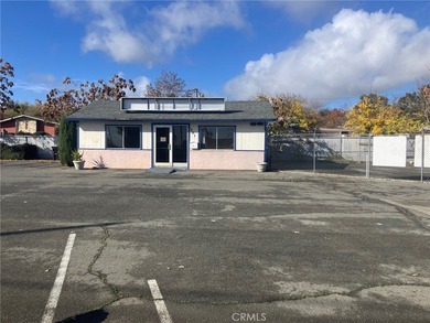 Clear Lake Commercial For Sale in Lakeport California