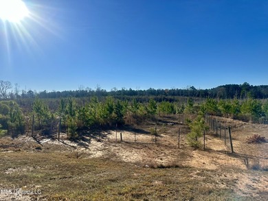 Located off Attala Road 3027 in Attala County, Mississippi, this - photo 11