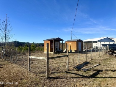 Located off Attala Road 3027 in Attala County, Mississippi, this - photo 12