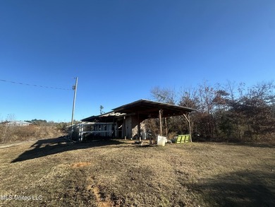 Located off Attala Road 3027 in Attala County, Mississippi, this - photo 13