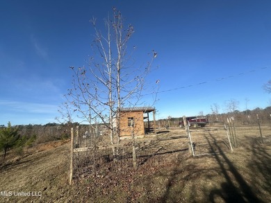 Located off Attala Road 3027 in Attala County, Mississippi, this - photo 14