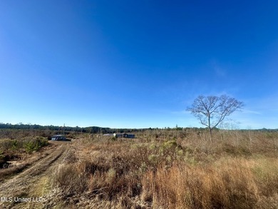 Located off Attala Road 3027 in Attala County, Mississippi, this - photo 16