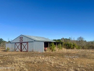 Located off Attala Road 3027 in Attala County, Mississippi, this - photo 17