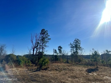 Located off Attala Road 3027 in Attala County, Mississippi, this - photo 19