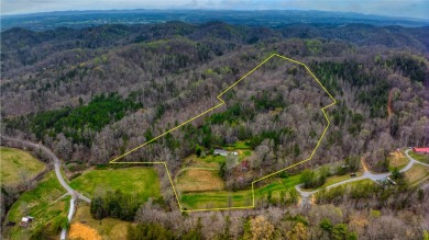 Lake Acreage For Sale in Seymour, Tennessee