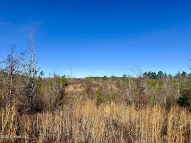 Located off Attala Road 3027 in Attala County, Mississippi, this - photo 21