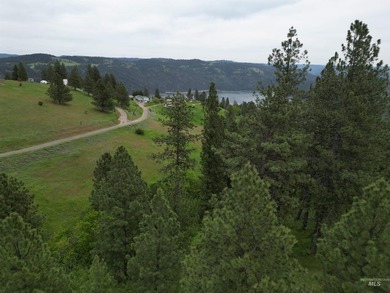 If you've been dreaming of an off-grid lifestyle, this is your - photo 22