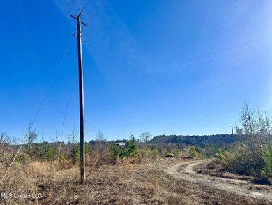 Located off Attala Road 3027 in Attala County, Mississippi, this - photo 22