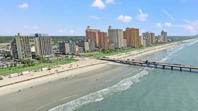 This beautifully updated oceanfront unit offers breathtaking - photo 28
