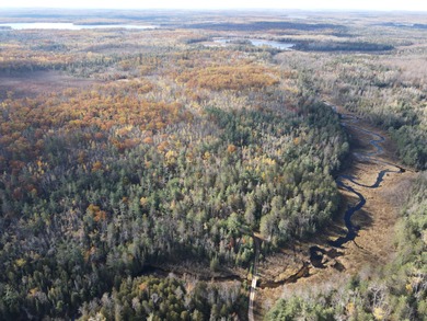 Lake Acreage For Sale in Hillman, Michigan