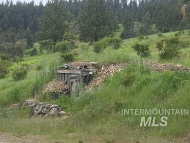 If you've been dreaming of an off-grid lifestyle, this is your - photo 39