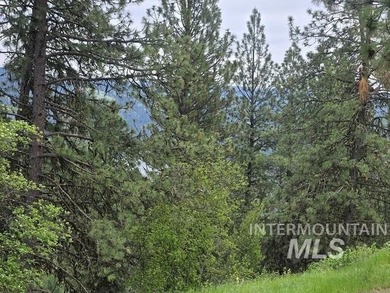 If you've been dreaming of an off-grid lifestyle, this is your - photo 42