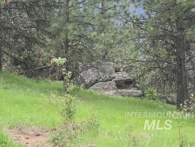 If you've been dreaming of an off-grid lifestyle, this is your - photo 45