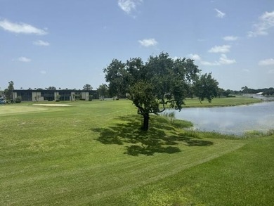 Don't miss the Resort lifestyle in this updated 2 bedroom, 2 - photo 5