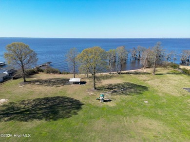 Build Near the Water in Cape Colony! Two adjoining lots - photo 3