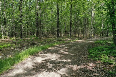 Set on 2 wooded acres in Montville, this property offers a - photo 3
