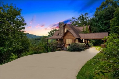 Lake Blue Ridge Home For Sale in Blue Ridge Georgia
