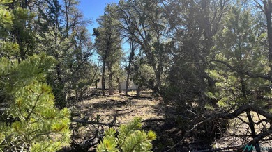 Quemado Lake Lot For Sale in Quemado New Mexico