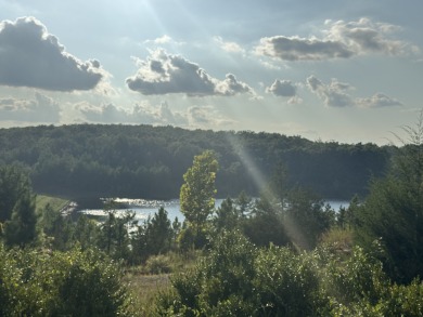 (private lake, pond, creek) Home For Sale in Fredericktown Missouri