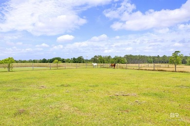 160 acres. Unzoned. Positioned in the path of Baldwin County - photo 25