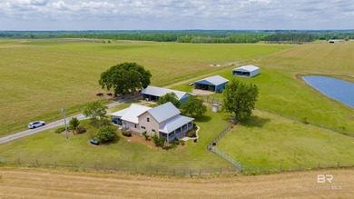 160 acres. Unzoned. Positioned in the path of Baldwin County - photo 30