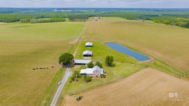 160 acres. Unzoned. Positioned in the path of Baldwin County - photo 32
