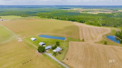 160 acres. Unzoned. Positioned in the path of Baldwin County - photo 33