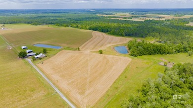 160 acres. Unzoned. Positioned in the path of Baldwin County - photo 35