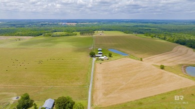 160 acres. Unzoned. Positioned in the path of Baldwin County - photo 36