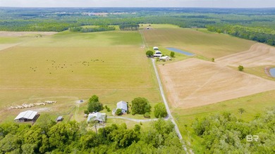 160 acres. Unzoned. Positioned in the path of Baldwin County - photo 37