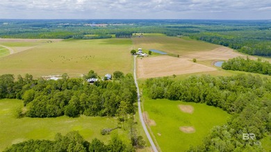 160 acres. Unzoned. Positioned in the path of Baldwin County - photo 38