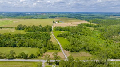 160 acres. Unzoned. Positioned in the path of Baldwin County - photo 39