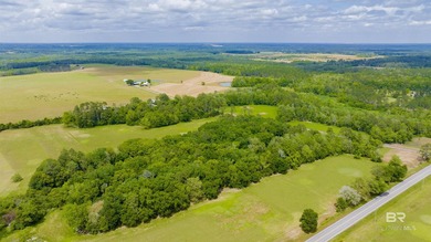 160 acres. Unzoned. Positioned in the path of Baldwin County - photo 40