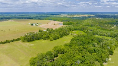 160 acres. Unzoned. Positioned in the path of Baldwin County - photo 41
