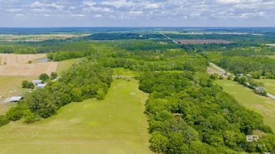 160 acres. Unzoned. Positioned in the path of Baldwin County - photo 42