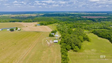 160 acres. Unzoned. Positioned in the path of Baldwin County - photo 43